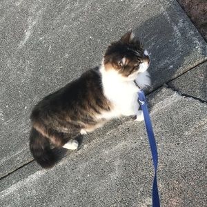 Meet your Posher, Victoria